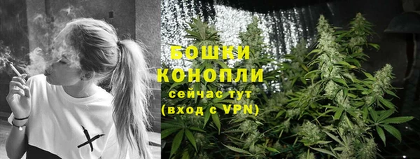 ешки Белокуриха