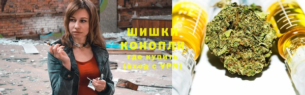 ешки Белокуриха