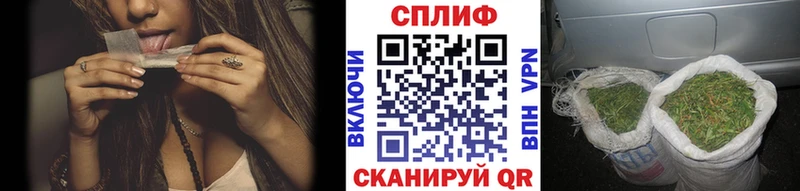 Шишки марихуана тримм  МЕГА маркетплейс  Рудня 